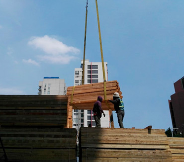 Maderas del Altiplano