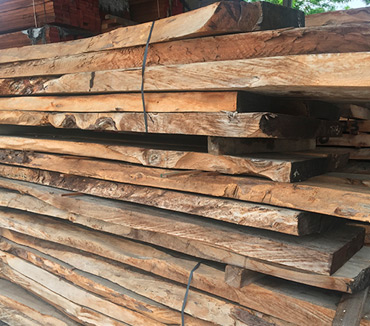 Maderas del Altiplano