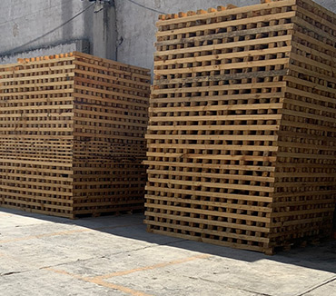 Maderas del Altiplano