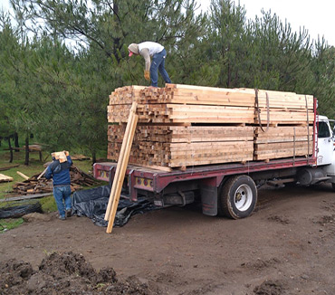 Maderas del Altiplano