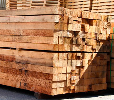 Maderas del Altiplano