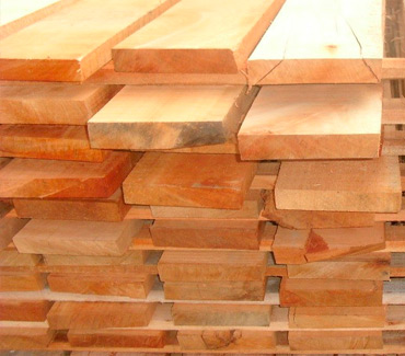 Maderas del Altiplano