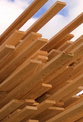 Maderas del Altiplano