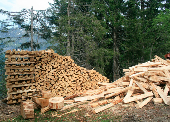 Maderas del Altiplano