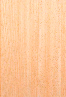 Maderas del Altiplano