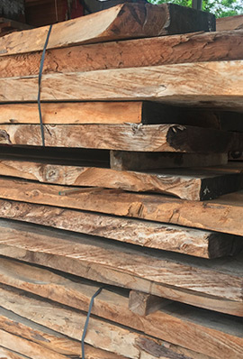 Maderas del Altiplano