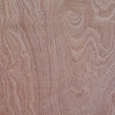 Maderas del Altiplano