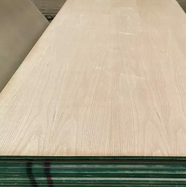 Maderas del Altiplano