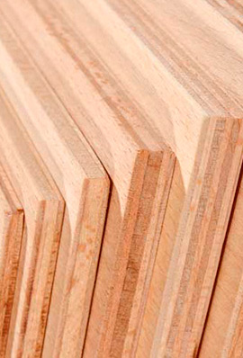 Maderas del Altiplano