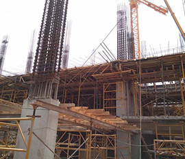 Maderas del Altiplano